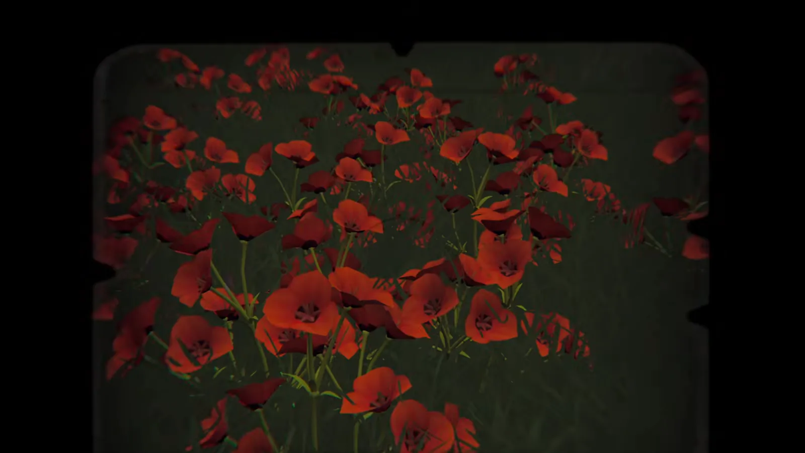 Instant camera viewfinder filled with red poppies on the trail to Winslow Lighthouse in Forever Ago